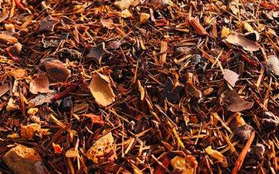 Maalwerk Rooibos Chocolade Explosie